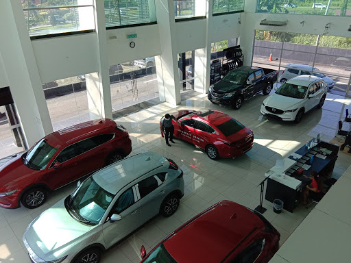 Mazda Showroom