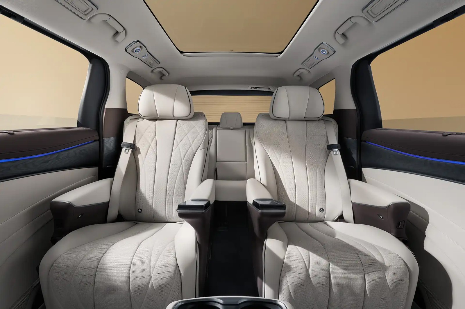 2025 Denza D9 Premium AWD photo