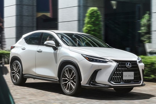 Lexus NX 2025 photo