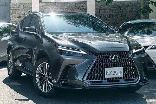 Lexus NX 2025 photo