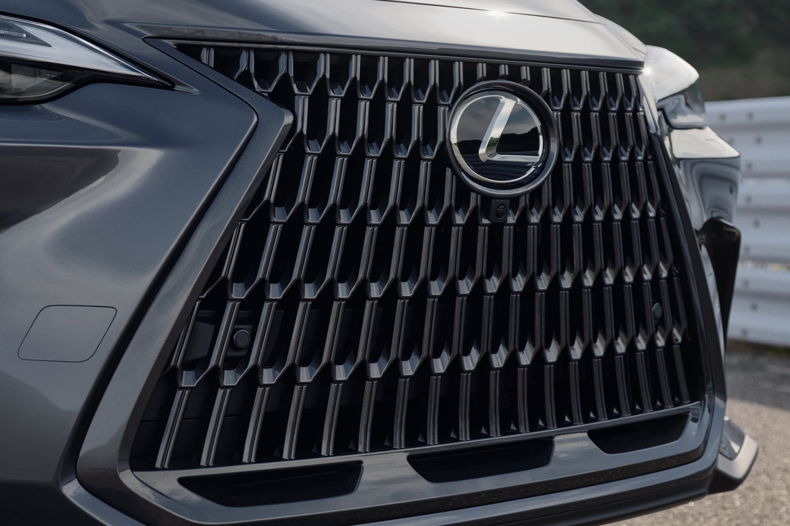 2025 Lexus NX 350h Luxury photo