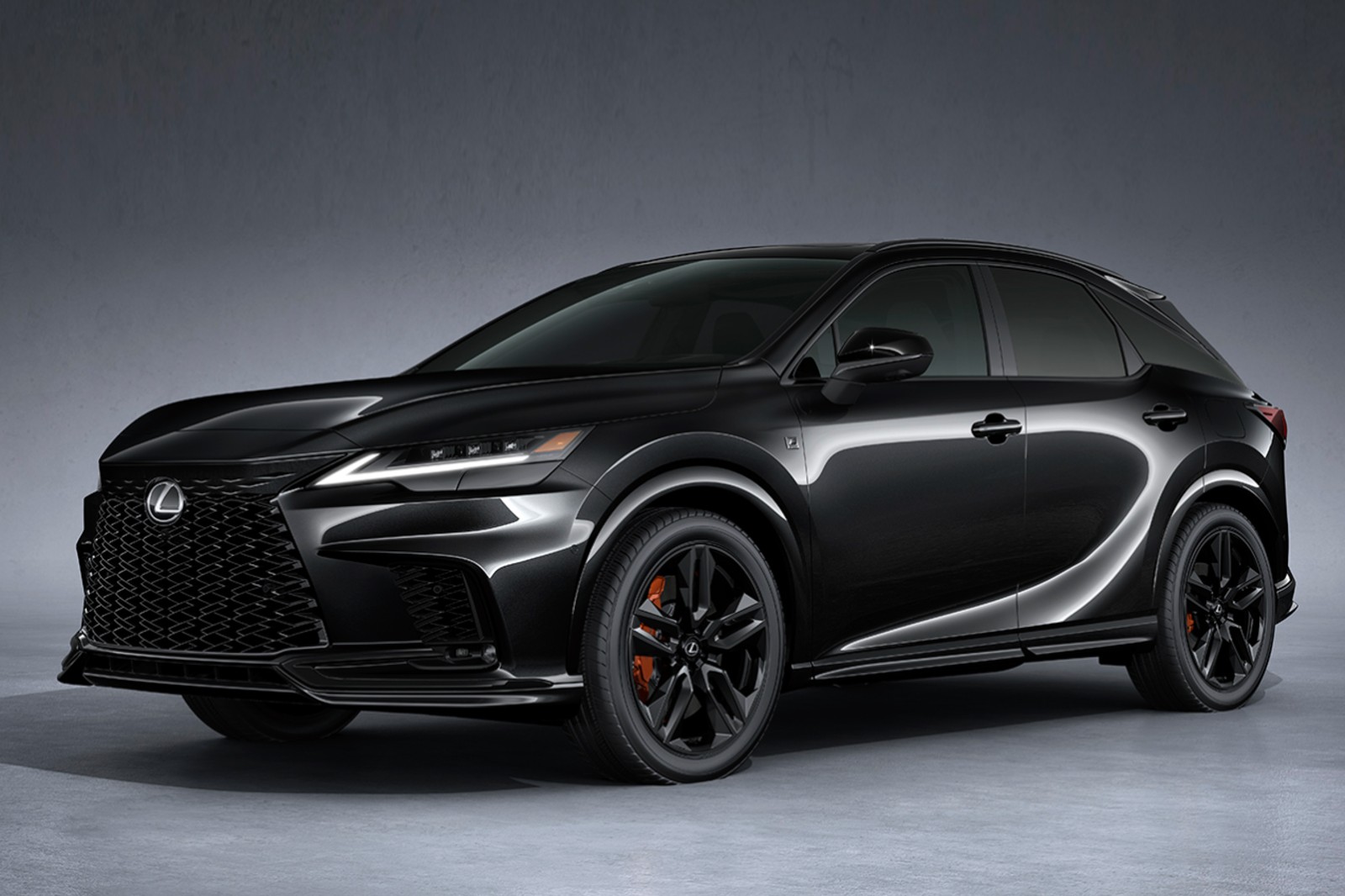 2025 Lexus RX 500h F Sport Special Edition photo