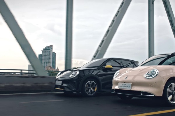 ORA GOOD CAT Official