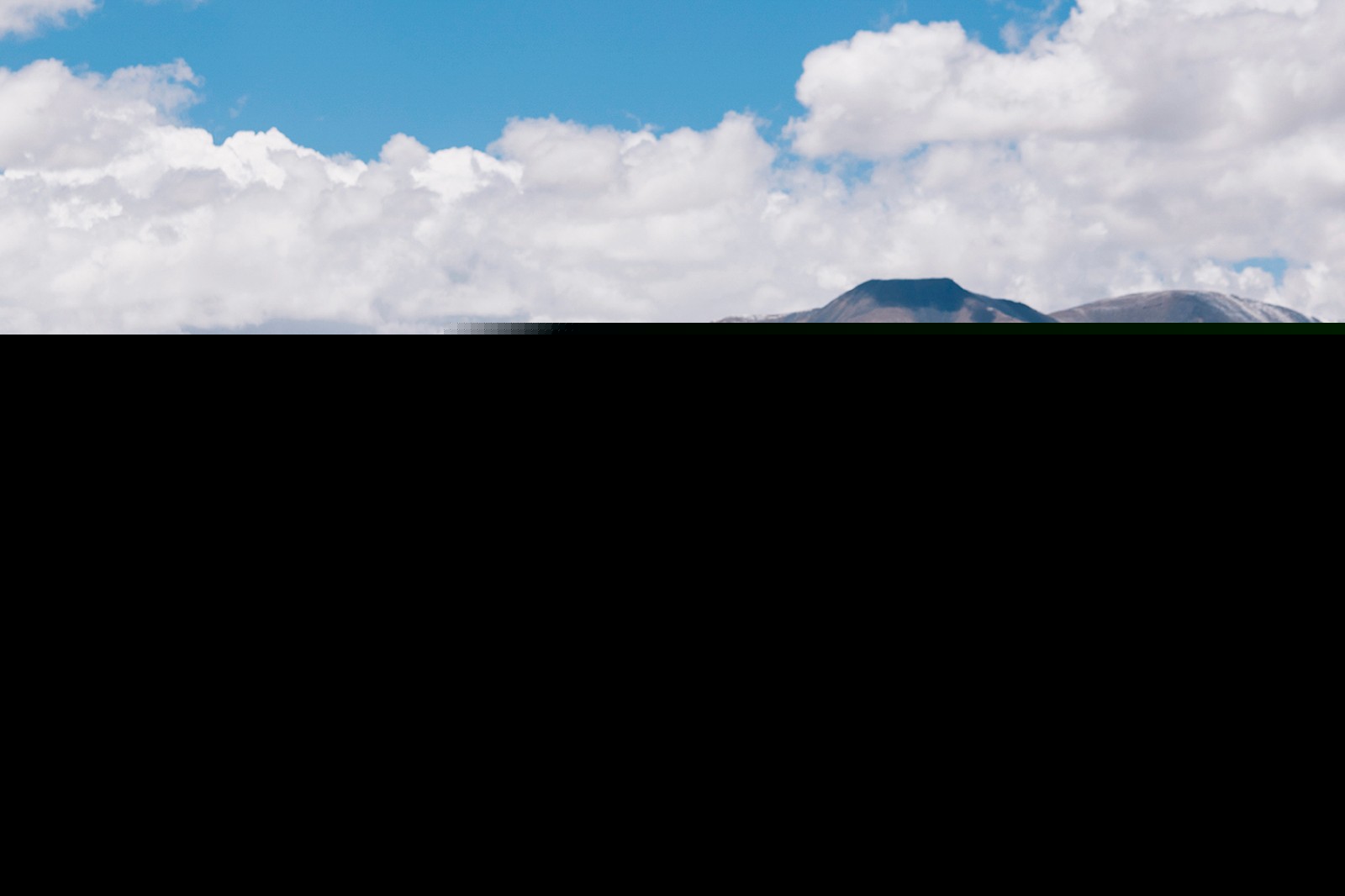 2025 GAC M8 Luxury photo