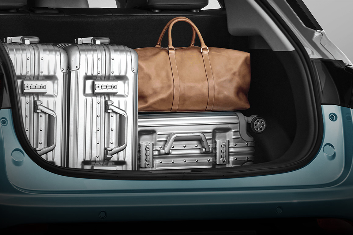 Trunk