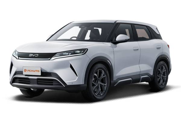 2025 BYD Atto 2 Premium photo