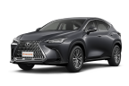 Lexus NX photo