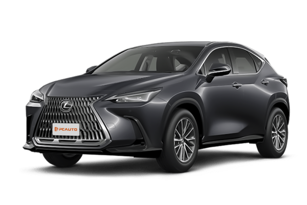 Lexus NX photo