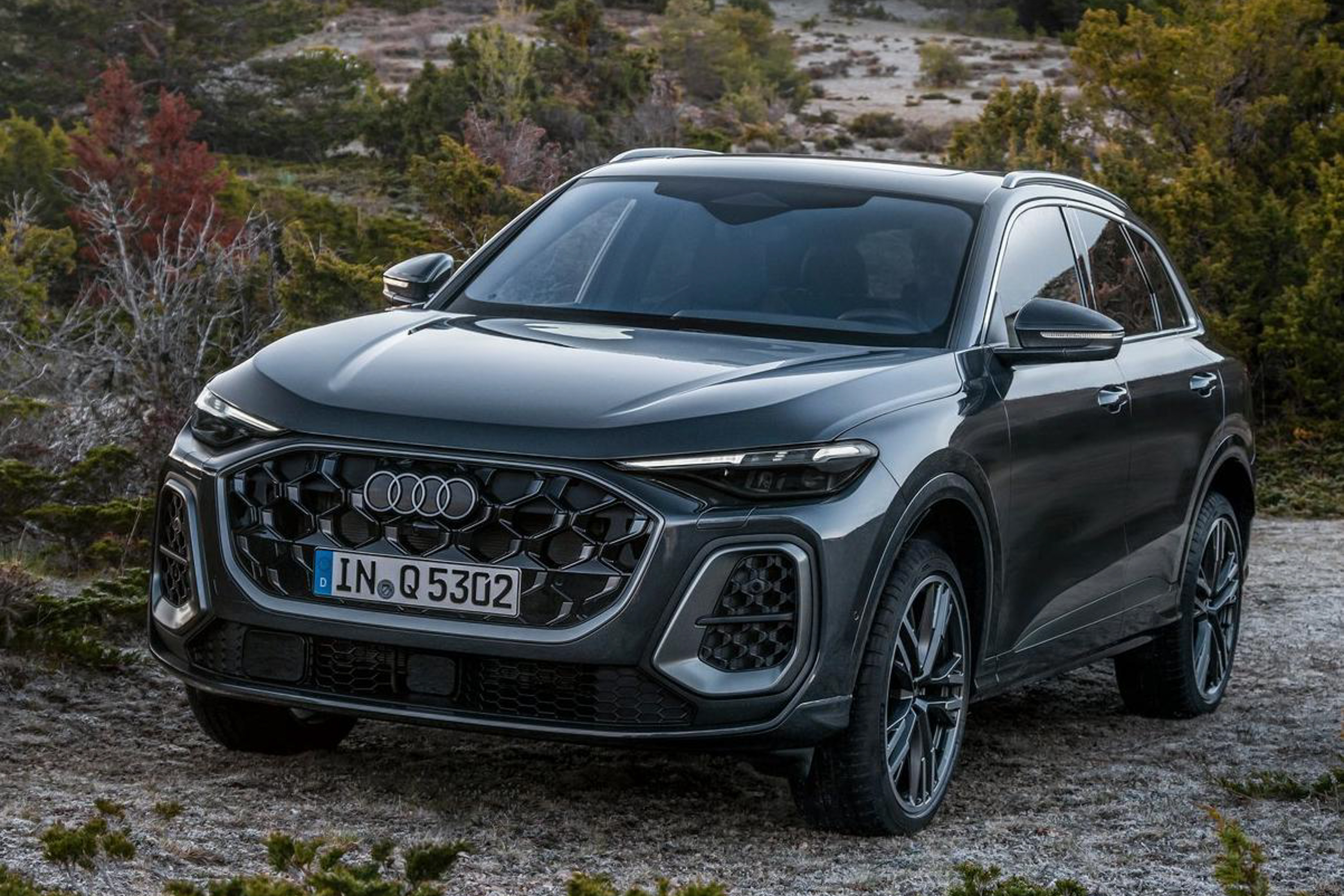 2025 Audi Q5 public photo
