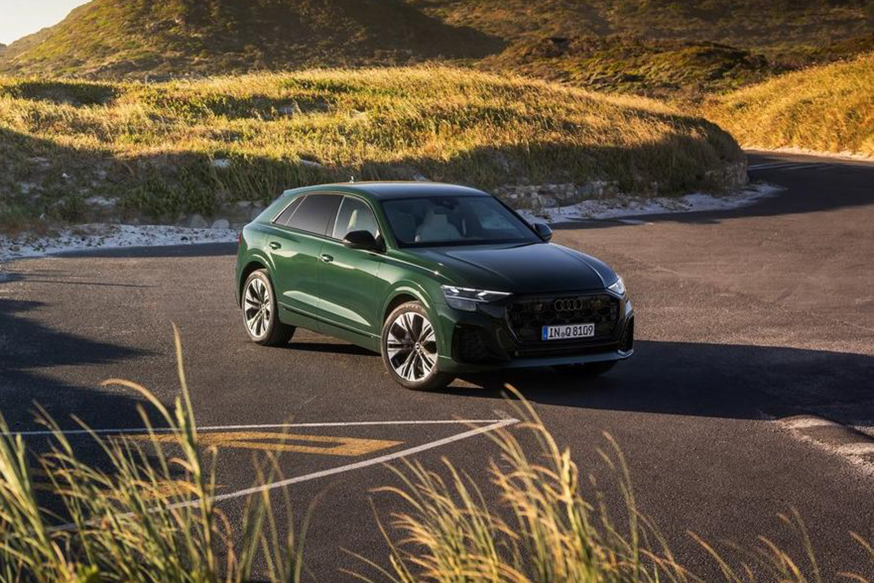 2024 Audi Q8 public photo