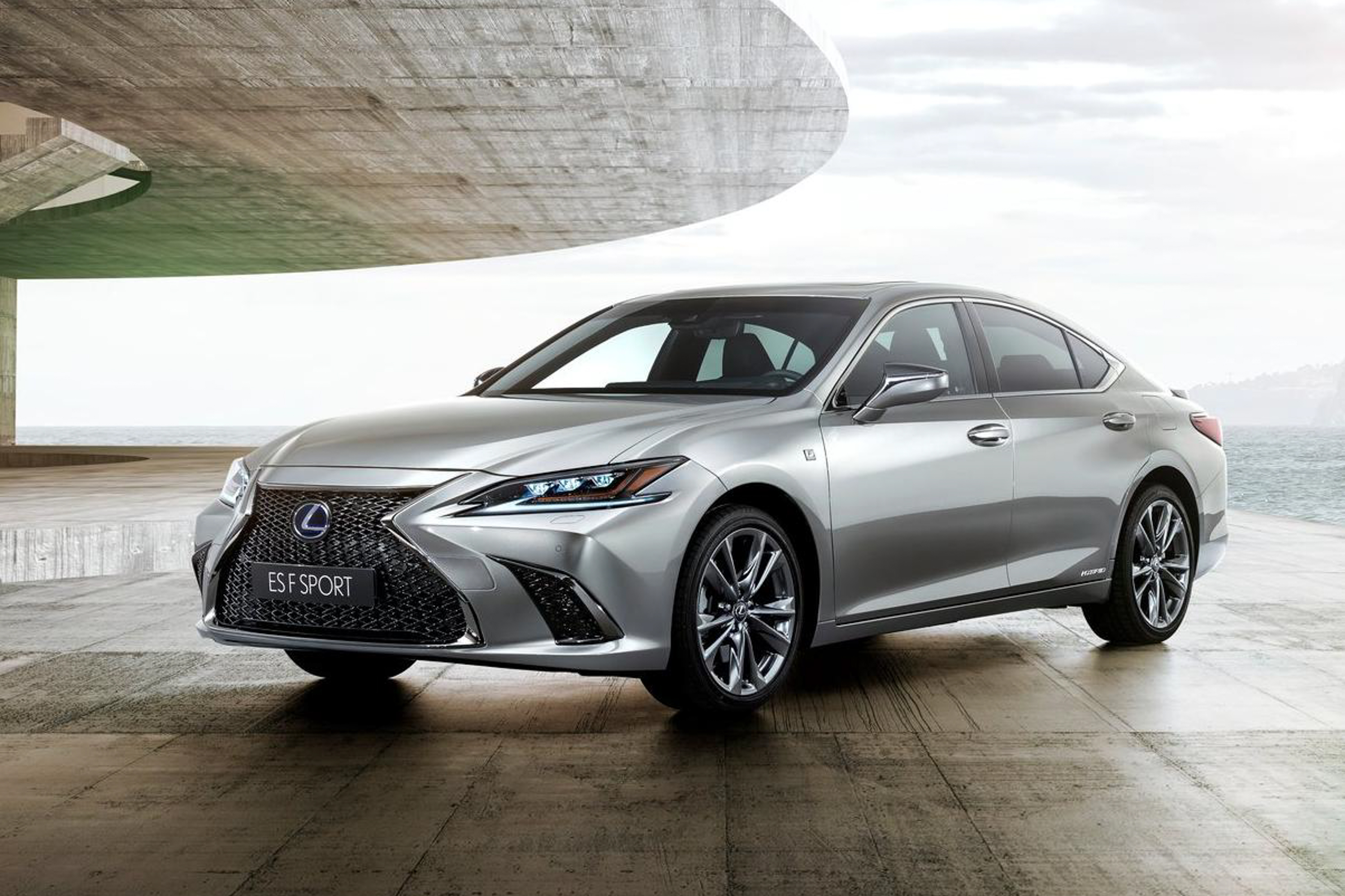 2019 Lexus ES 250 Premium photo
