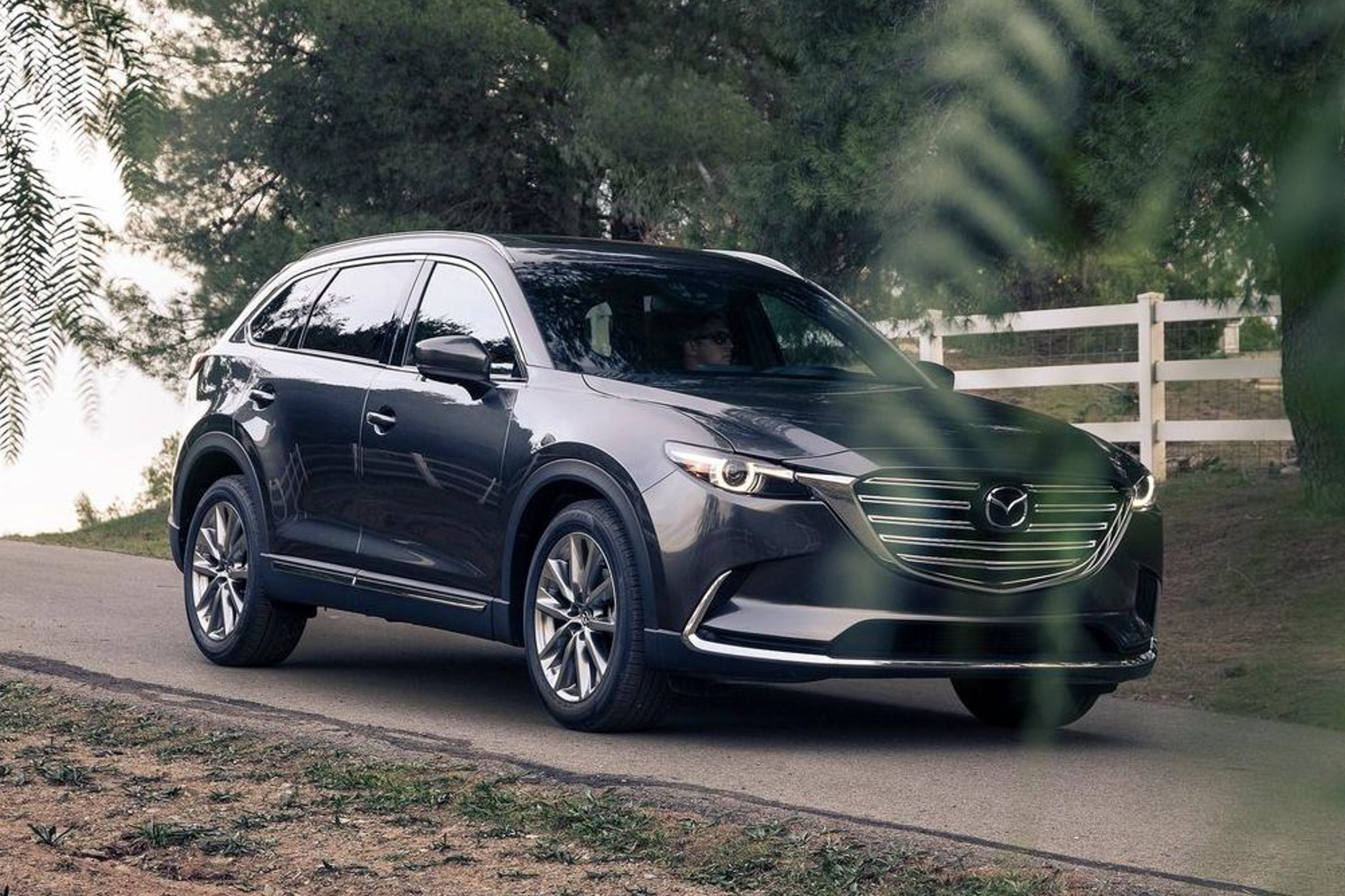 2016 Mazda CX-9 public photo