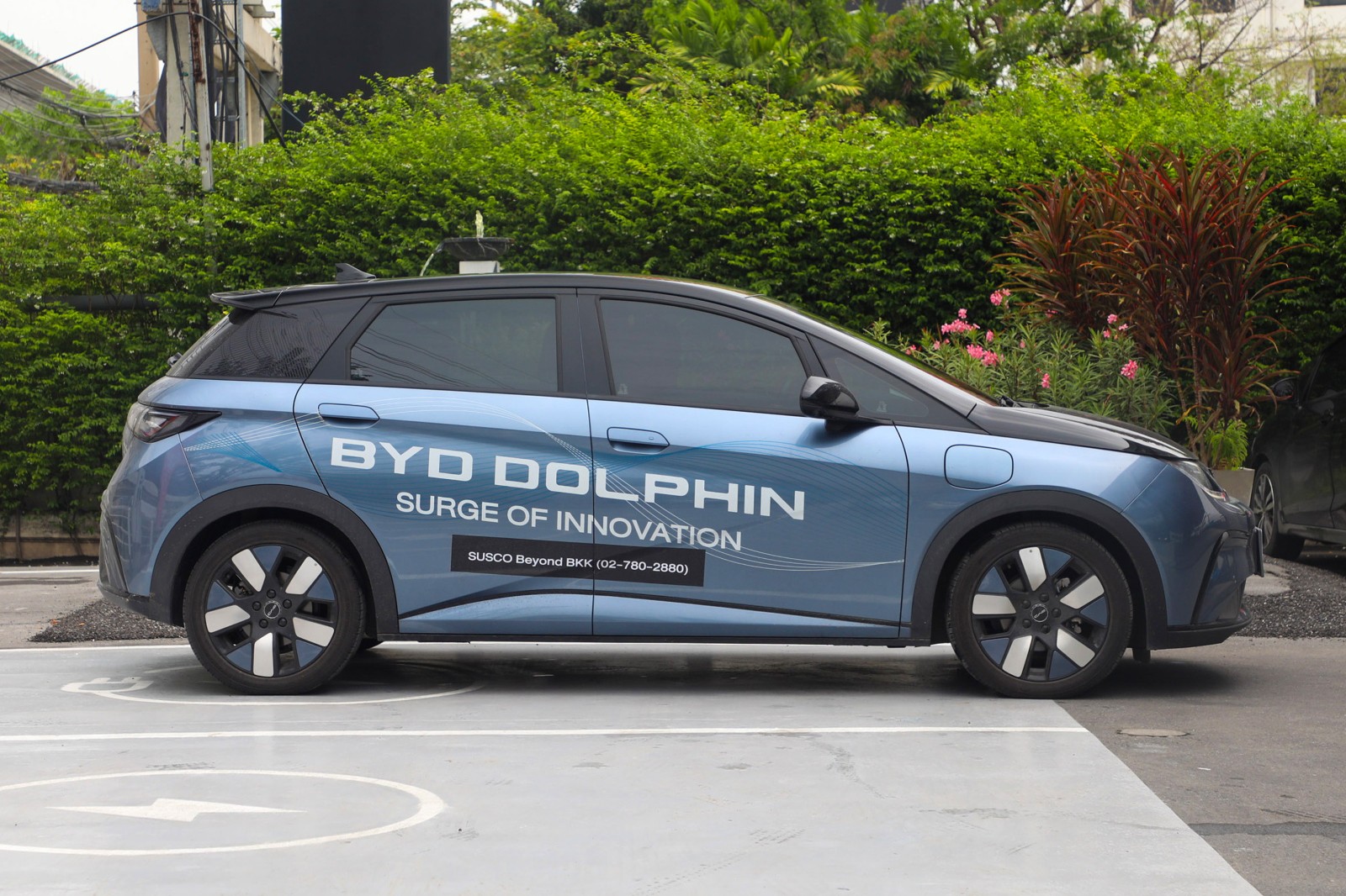 ลักษณะภายนอกของรถ BYD Dolphin