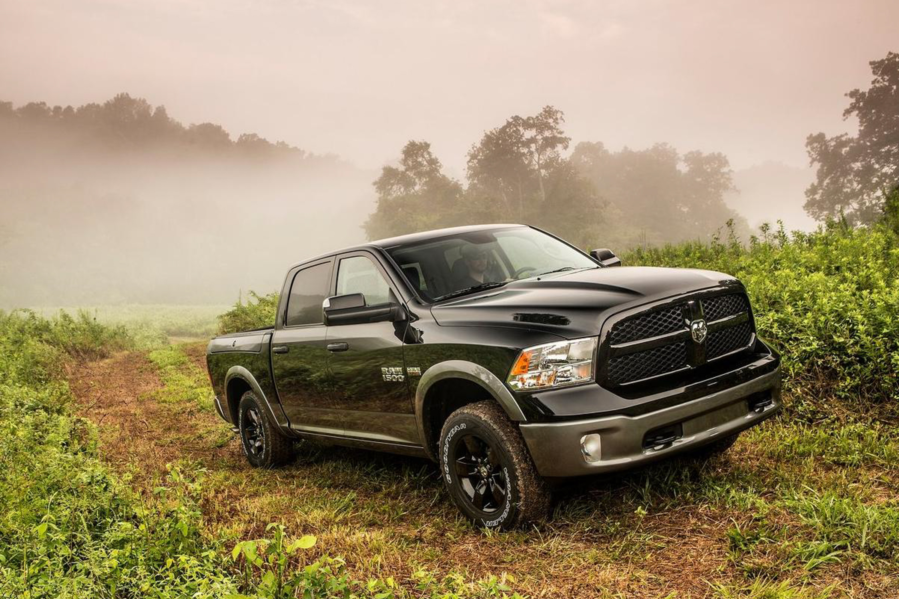 รูป 2013 Ram 1500 public